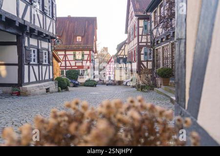 Gemütliche Gasse gesäumt von traditionellen Fachwerkhäusern mit verblassten Pflanzen im Fokus, Sindelfingen, Boeblingen Bezirk, Deutschland, Europa Stockfoto