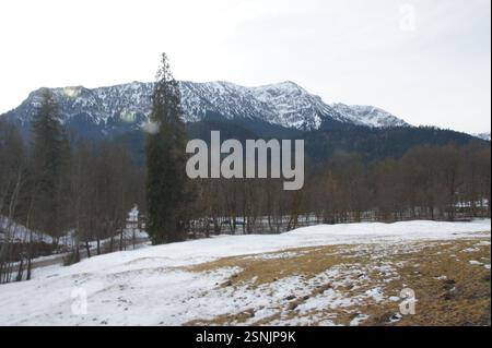 Eine friedliche Winterszene in Deutschland, München. Ein schneebedeckter Berg erhebt sich majestätisch hinter einer Decke aus Winterwald und schafft so eine malerische La Stockfoto