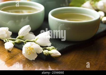 Grüner Tee mit Jasmin in der Tasse und Teekanne auf Holztisch, lodz, polen Stockfoto