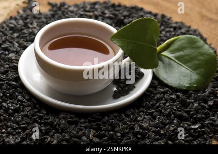 Eine Tasse grüner Tee mit freien Blättern, lodz, polen Stockfoto