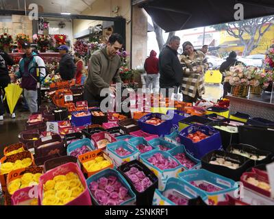 Los Angeles, USA. Februar 2025. Am 13. Februar 2025 werden Blumen auf einem Blumenmarkt im Zentrum von Los Angeles, Kalifornien, in den USA, ausgewählt. Quelle: Qiu Chen/Xinhua/Alamy Live News Stockfoto