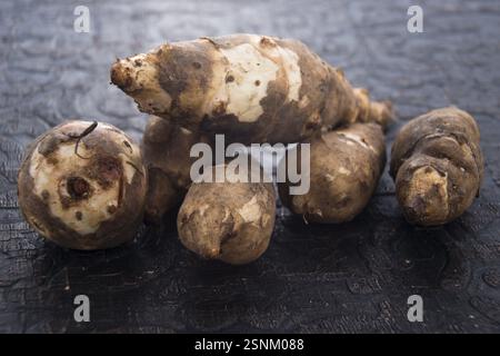 Jerusalem Artischocke, lodz, polen Stockfoto