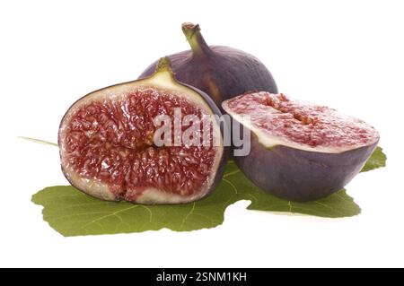 Frische Feigen. Früchte und Blätter isoliert auf weißem Hintergrund Stockfoto