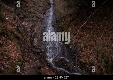 Üppig grüne Bäume umgeben einen kleinen Wasserfall, der über Felsen in einem Wald in der Nähe von Deutschland, München, fällt. Bunte Blätter bedecken den Waldboden und schaffen Stockfoto