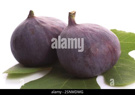 Frische Feigen. Früchte und Blätter isoliert auf weißem Hintergrund Stockfoto