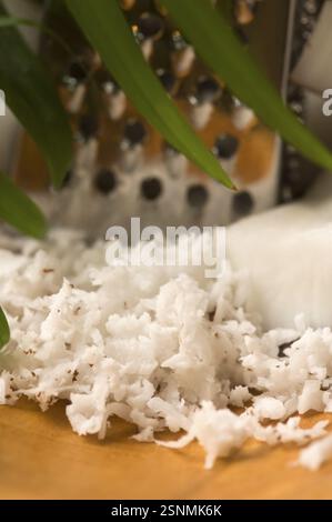Geriebene Kokosnuss mit Reibe und Nuss, lodz, polen Stockfoto