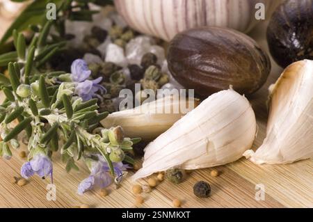 Kräuter und Gewürze. Knoblauch, Rosmarin, Lorbeerblatt, Pfeffer, alt, Muskatnuss, Vanille, Kardamon Stockfoto