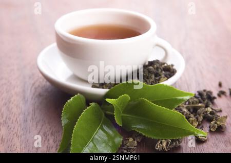 Tasse grüner Tee mit freien Blättern, lodz, polen Stockfoto