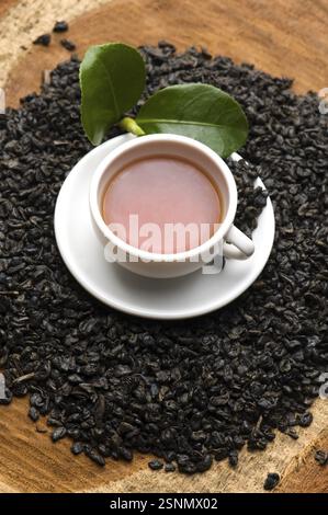 Eine Tasse grüner Tee mit freien Blättern, lodz, polen Stockfoto