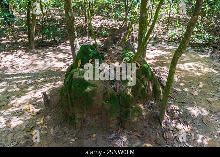 Lüftungsöffnung für den als Termitenhügel verkleideten Tunnel im Cu Chi Tunnel Complex, Ho Chi Minh - Saigon, Vietnam, Samstag, 09. November 2024. Stockfoto
