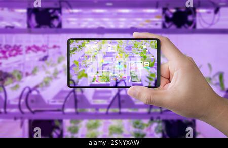 Landwirtschafts-Technologiekonzept mit Smart Farm-Verbindung zum Mobiltelefon Stockfoto