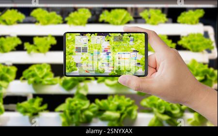 Landwirtschafts-Technologiekonzept mit Smart Farm-Verbindung zum Mobiltelefon Stockfoto