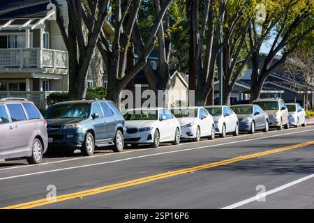 Eine Reihe geparkter Autos entlang einer Wohnstraße, im Schatten von hohen Bäumen, mit Häusern und Grün im Hintergrund an einem sonnigen Tag. Vorderansicht – ca. Stockfoto