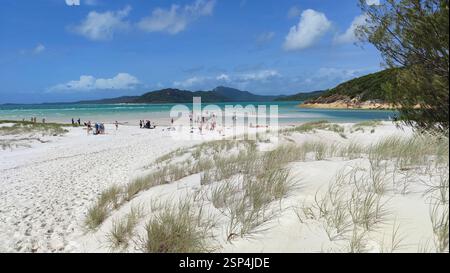 Whitsunday Islands National Park, Hamilton Island. Unberührter weißer Sand, türkisfarbenes Wasser, üppiges Grün. Ein Paradies für Naturliebhaber und Abenteuer Stockfoto