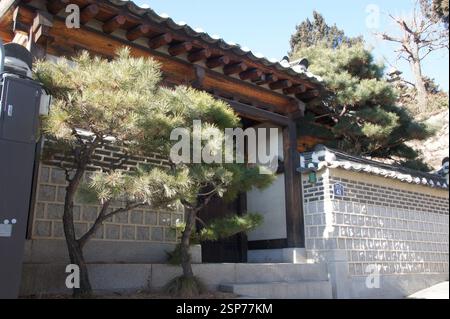 Traditionelles koreanisches Haus mit Fliesendach und Holzbalken. Steinmauer mit kleinen Bogenfenstern. Kiefer neben dem Eingang. Ruhiger und friedlicher geldautomat Stockfoto