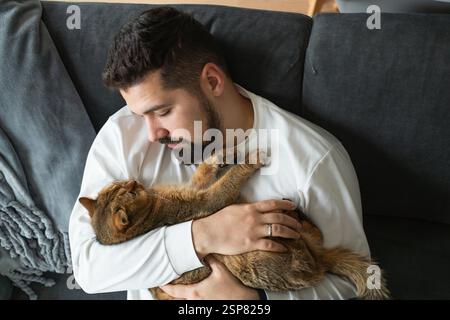 Blick auf den Mann auf der Couch und die britische Kurzhaarkatze Stockfoto