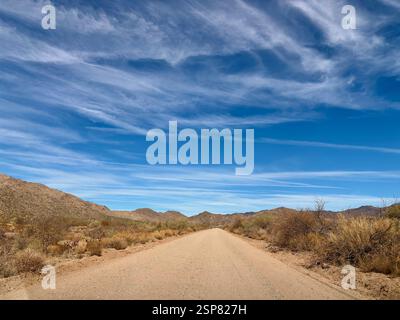 Unbefestigte Straße, die sich durch die Wüste Arizonas unter einem riesigen blauen Himmel erstreckt Stockfoto