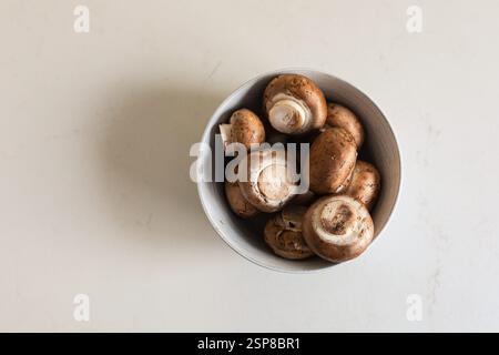 Schüssel mit Pilzen auf weißem Hintergrund Stockfoto