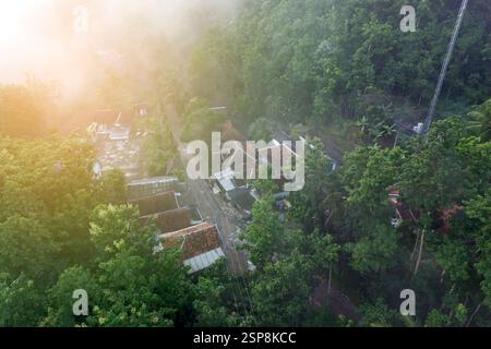orchard umgeben von Wald - Luftaufnahme Stockfoto