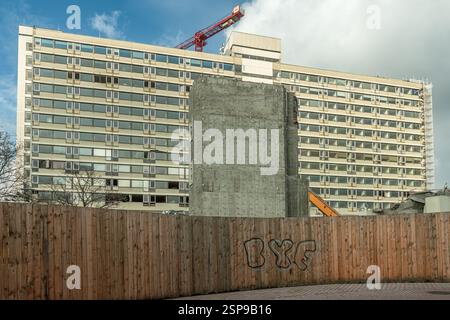 Blick auf die Ruine der Klinik Frankfurt Hoechst, Hessen Stockfoto