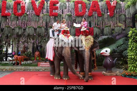 Pattaya, Thailand. Februar 2025. Ein Paar reitet auf einem Elefanten während einer Massen-Hochzeitszeremonie im Nong Nooch Tropical Garden in Pattaya, Thailand, 14. Februar 2025. Neun Paare schlossen sich den Knoten, während sie am Freitag hier auf Elefanten reiten, bei einer Valentinstag-Hochzeitszeremonie. Quelle: Rachen Sageamsak/Xinhua/Alamy Live News Stockfoto