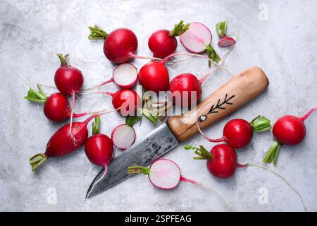 Metallschale mit frischen Gartenradieschen und einem Messer. Nahaufnahme der Lebensmittelfotografie von oben Stockfoto