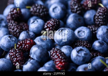 Frische Heidelbeeren und Maulbeeren aus nächster Nähe. Makroaufnahme. Lebensmittelfotografie Stockfoto