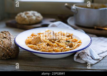 Szegedin Goulash mit Kohl und Fleisch. Traditioneller slowenischer Kohl-Eintopf mit Rindfleisch- und Schweinegulasch Stockfoto