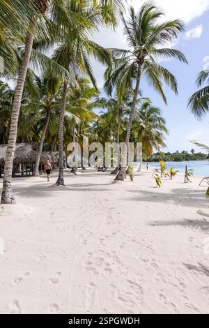Insel Saona im Nationalpark Cotubanamá. Eine tropische Karibikinsel mit weißem Sand, klarem türkisfarbenem Wasser und Palmen, Dominikanische Republik Stockfoto