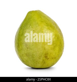 Studio-Aufnahme einer ganzen Guave-Frucht isoliert auf weißem Hintergrund. Stockfoto