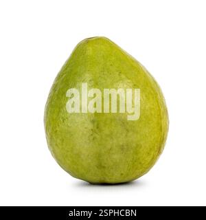 Studio-Aufnahme einer ganzen Guave-Frucht isoliert auf weißem Hintergrund. Stockfoto