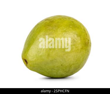 Studio-Aufnahme einer ganzen Guave-Frucht isoliert auf weißem Hintergrund. Stockfoto