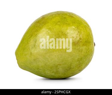 Studio-Aufnahme einer ganzen Guave-Frucht isoliert auf weißem Hintergrund. Stockfoto