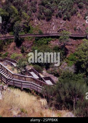 Ein hölzerner Fußweg schlängelt sich durch die üppige und zerklüftete Landschaft der Mondego Walkways Stockfoto