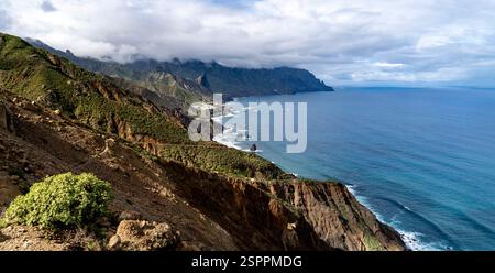 Eine atemberaubende Küstenlandschaft mit zerklüfteten Klippen, üppigem Grün und einem ruhigen Blick auf das Meer unter einem bewölkten Himmel. Die Szene fängt die Schönheit von ein Stockfoto