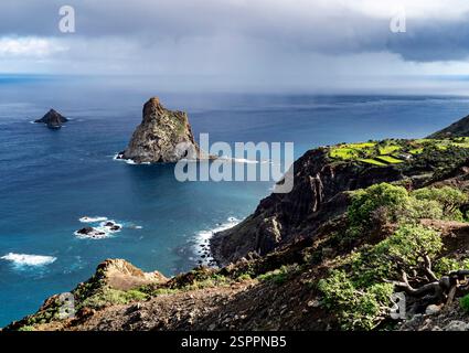 Ein malerischer Blick auf die Küste mit felsigen Klippen und Inseln im Ozean. Der Vordergrund zeigt üppiges Grün und terrassenförmig angelegte Felder, während der Hintergrund ha ist Stockfoto