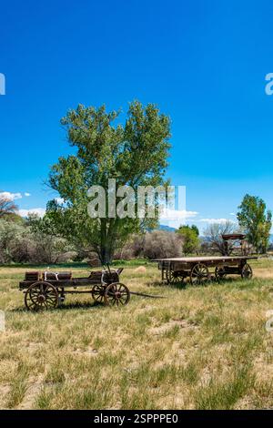 Eine alte Holzkiste und ein alter Heuwagen wurden früher für den Transport verwendet. Jetzt auf dem Feld eines Bauern. Stockfoto