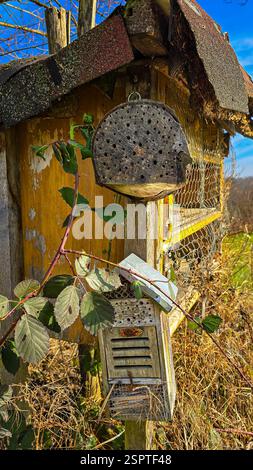 Zwei hausgemachte kleine Insektenhotels im öffentlichen Garten. Uberlingen, Deutschland Stockfoto
