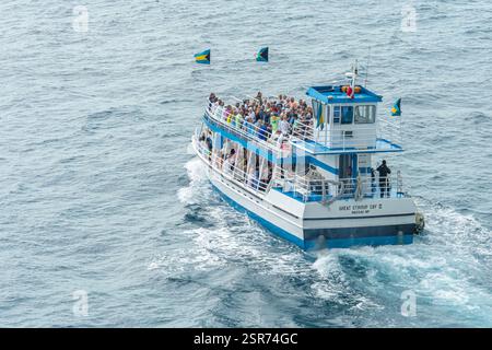 20. Januar 2025 - Great Stirrup Cay Bahamas - Kreuzfahrtschiff für Passagiere zur Insel Stockfoto