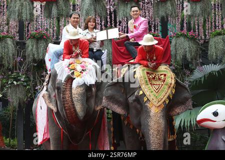Peking, Thailand. Februar 2025. Ein Paar erhält die Heiratsurkunden von einem Mitarbeiter, der während einer Hochzeitszeremonie zum Valentinstag im Nong Nooch Tropical Garden in Pattaya, Thailand, am 14. Februar 2025 auf Elefanten reitet. Quelle: Rachen Sageamsak/Xinhua/Alamy Live News Stockfoto