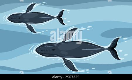 Zwei Wale, die anmutig im blauen Ozean schwimmen Stock Vektor