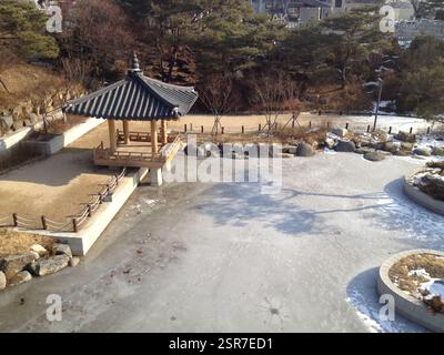 Schneebedeckter Park in Südkorea mit Steinpfaden und Bäumen. Die Sonne scheint durch Äste und wirft lange Schatten. Die beschauliche Winterszene weckt Frieden und Ruhe Stockfoto