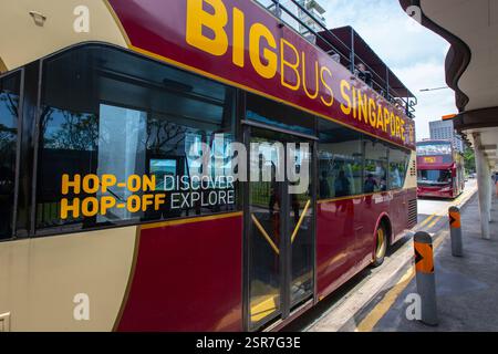 Big Bus hält an der Bushaltestelle, Fährtouristen rund um die Stadt mit fester Route, damit sie Singapur auf bequeme Weise erkunden können. Stockfoto