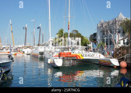 Der Katamaran Sebago legte im lebhaften Yachthafen Key West an, umgeben von anderen Booten und farbenfrohen Gebäuden. Beliebte Wahl für Inselrundfahrten und adve Stockfoto