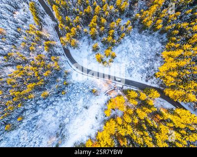 Ein Blick aus der Vogelperspektive zeigt einen schneebedeckten Wald, der mit leuchtenden gelben Bäumen verwoben ist. Eine schmale Straße schlängelt sich durch diese Winterlandschaft und lädt zum Erkunden ein. Stockfoto
