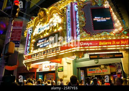 In New York, Manhattan, ruht ein Monarchschmetterling mit leuchtenden orangefarbenen und schwarzen Flügeln auf einer roten Milchpflanze. Eine Nahaufnahme zeigt eine wunderschöne Exa Stockfoto