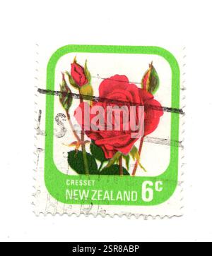 Eine alte Rose Briefmarke aus Neuseeland, isoliert auf weißem Hintergrund. Stockfoto