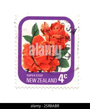 Eine alte Rose Briefmarke aus Neuseeland, isoliert auf weißem Hintergrund. Stockfoto