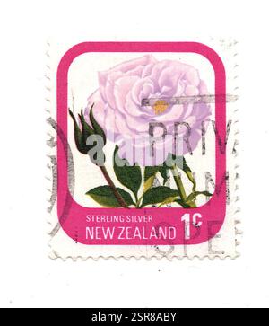 Eine alte Rose Briefmarke aus Neuseeland, isoliert auf weißem Hintergrund. Stockfoto