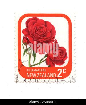 Eine alte Rose Briefmarke aus Neuseeland, isoliert auf weißem Hintergrund. Stockfoto